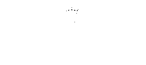 logobianco.png